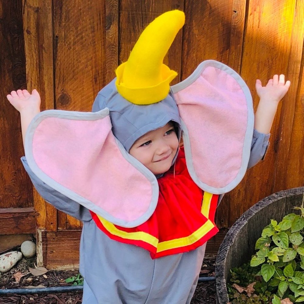 Dumbo - Picture 2 of 3